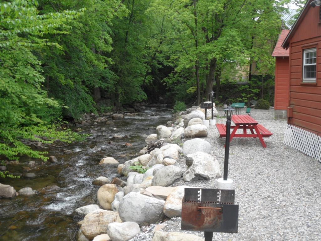 Seven Dwarfs Cabins - White Cabin Lake George Rum bild